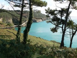 Vue falaise et mer, gîtes Rosmadec, Telgruc sur mer